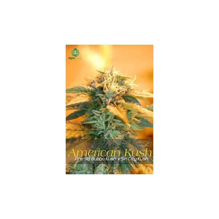 American Kush Regular de 