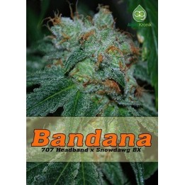 Bandana Regular de 