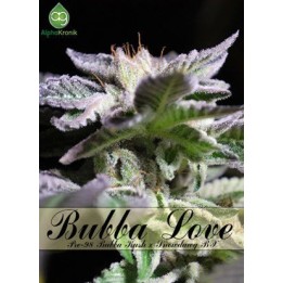Bubba Love Regular de 