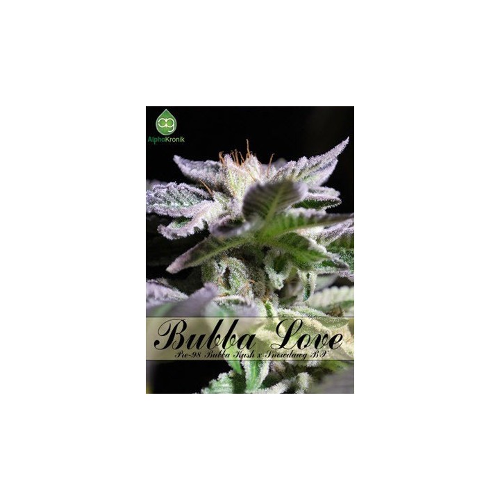 Bubba Love Regular de 
