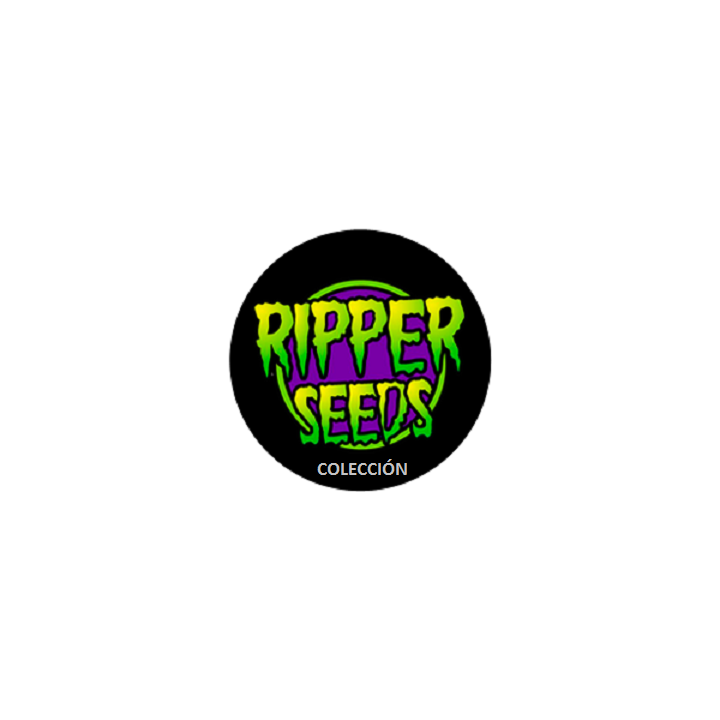 Coleccionista 1 Feminizada de Ripper Seeds