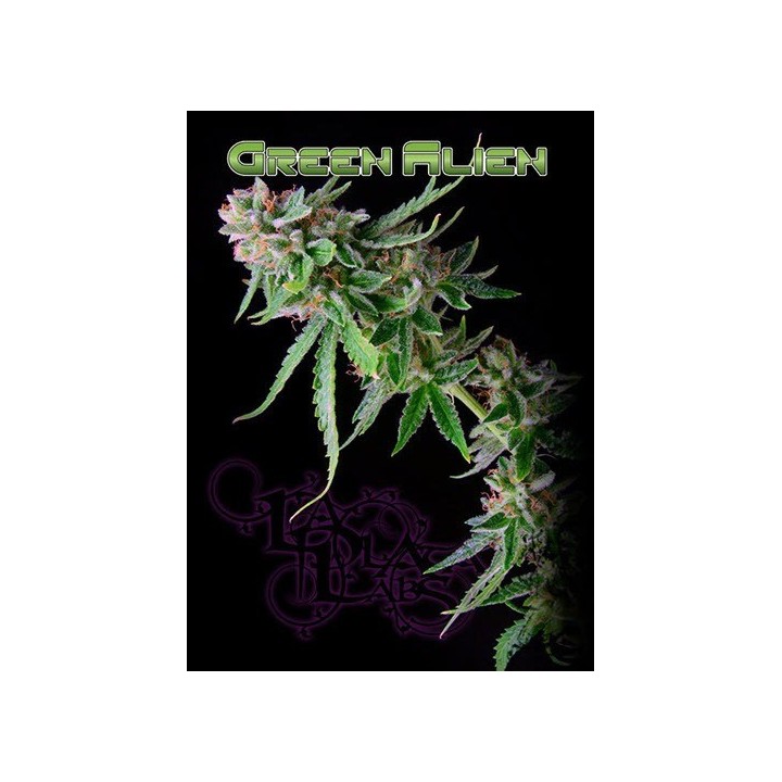 Green Alien Regular de 