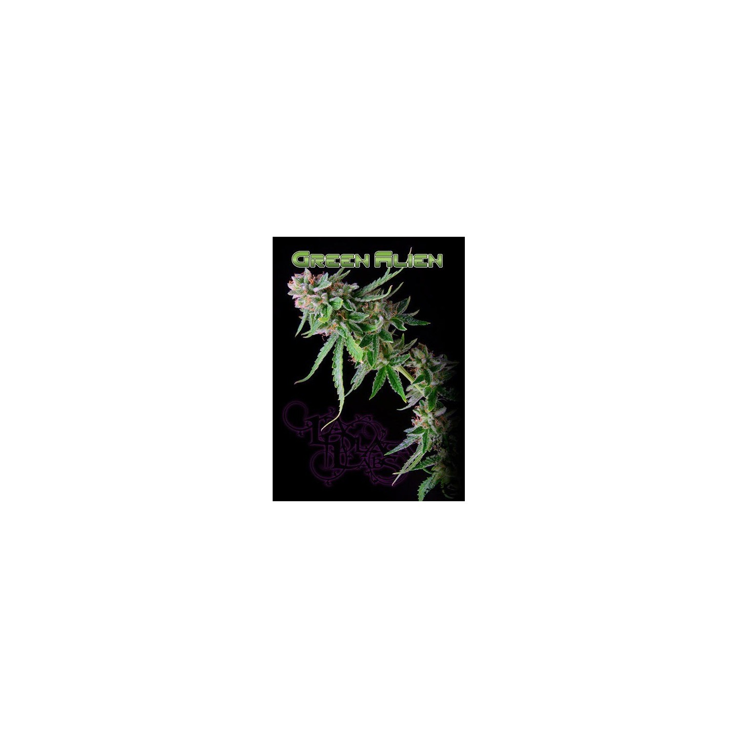 Green Alien Regular de 