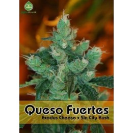 Queso Fuerte Regular de 