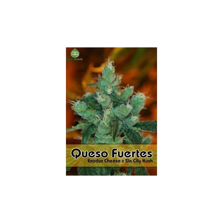 Queso Fuerte Regular de 