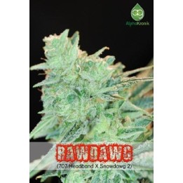 Rawdawg Regular de 