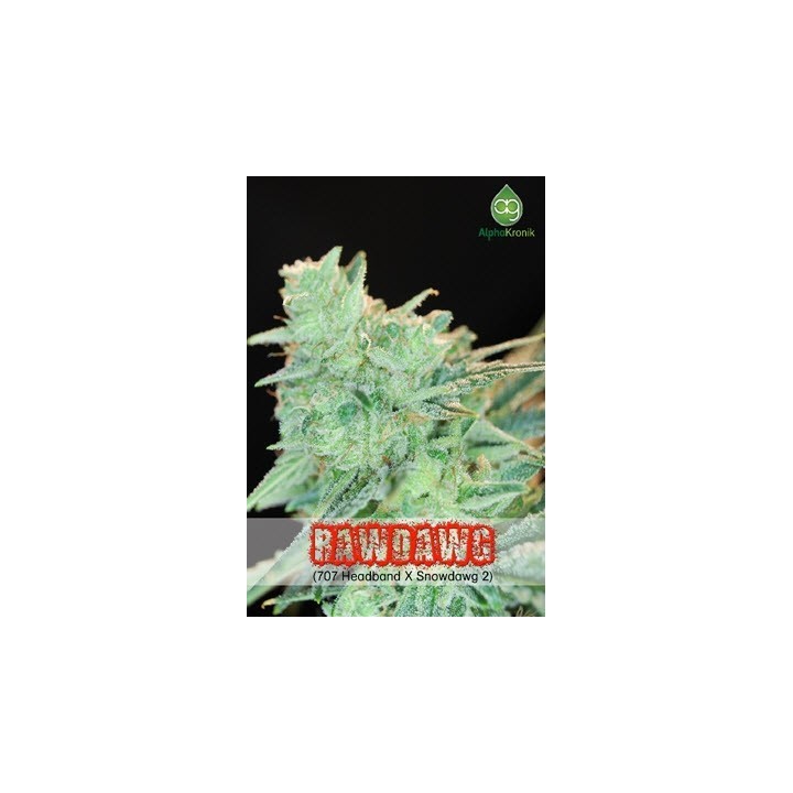 Rawdawg Regular de 