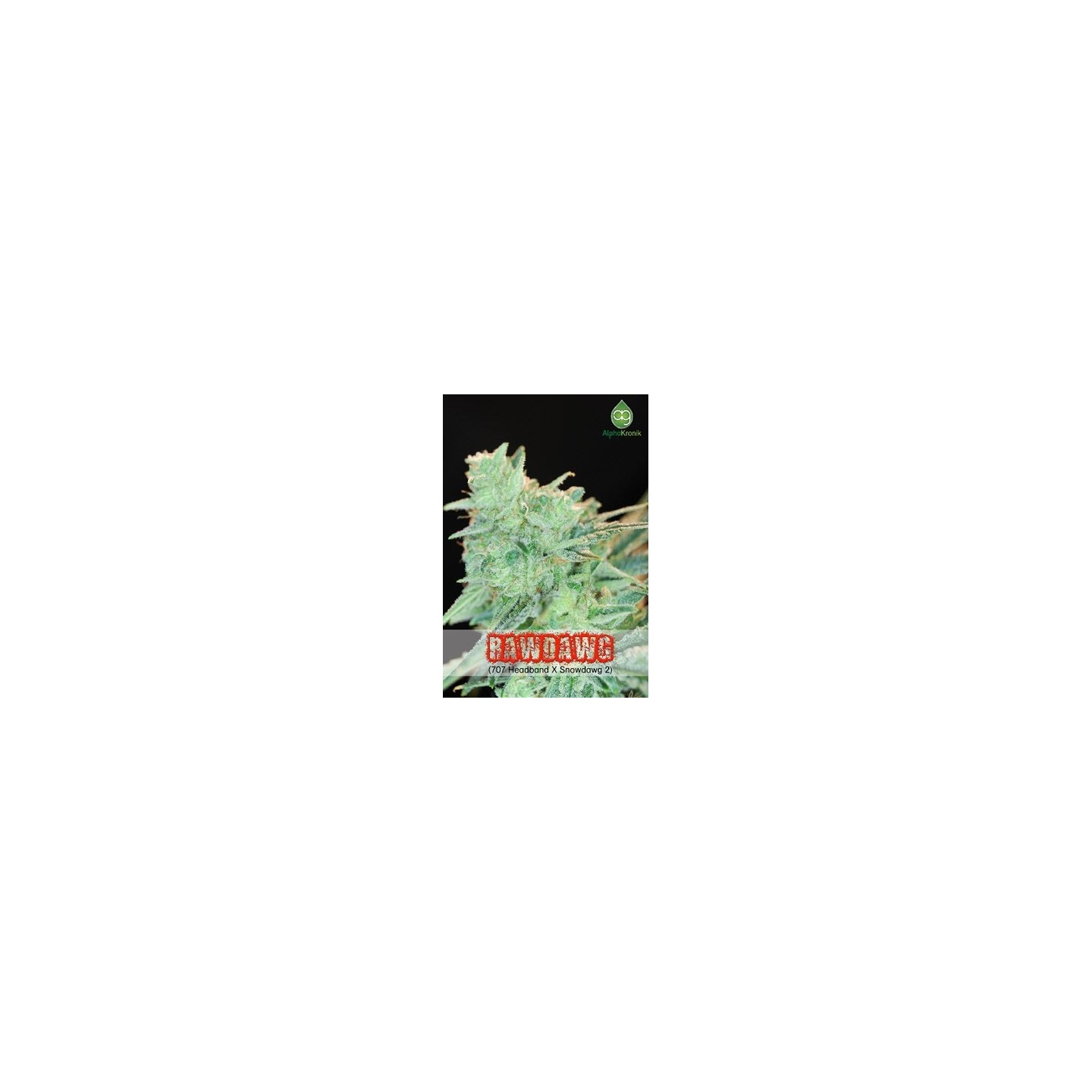 Rawdawg Regular de 