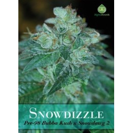 Snowdizzle Regular de 