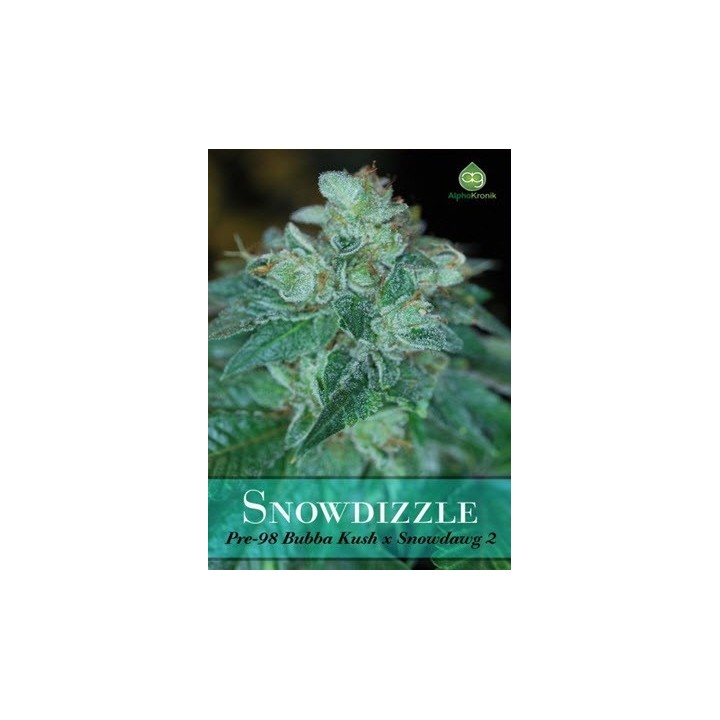 Snowdizzle Regular de 