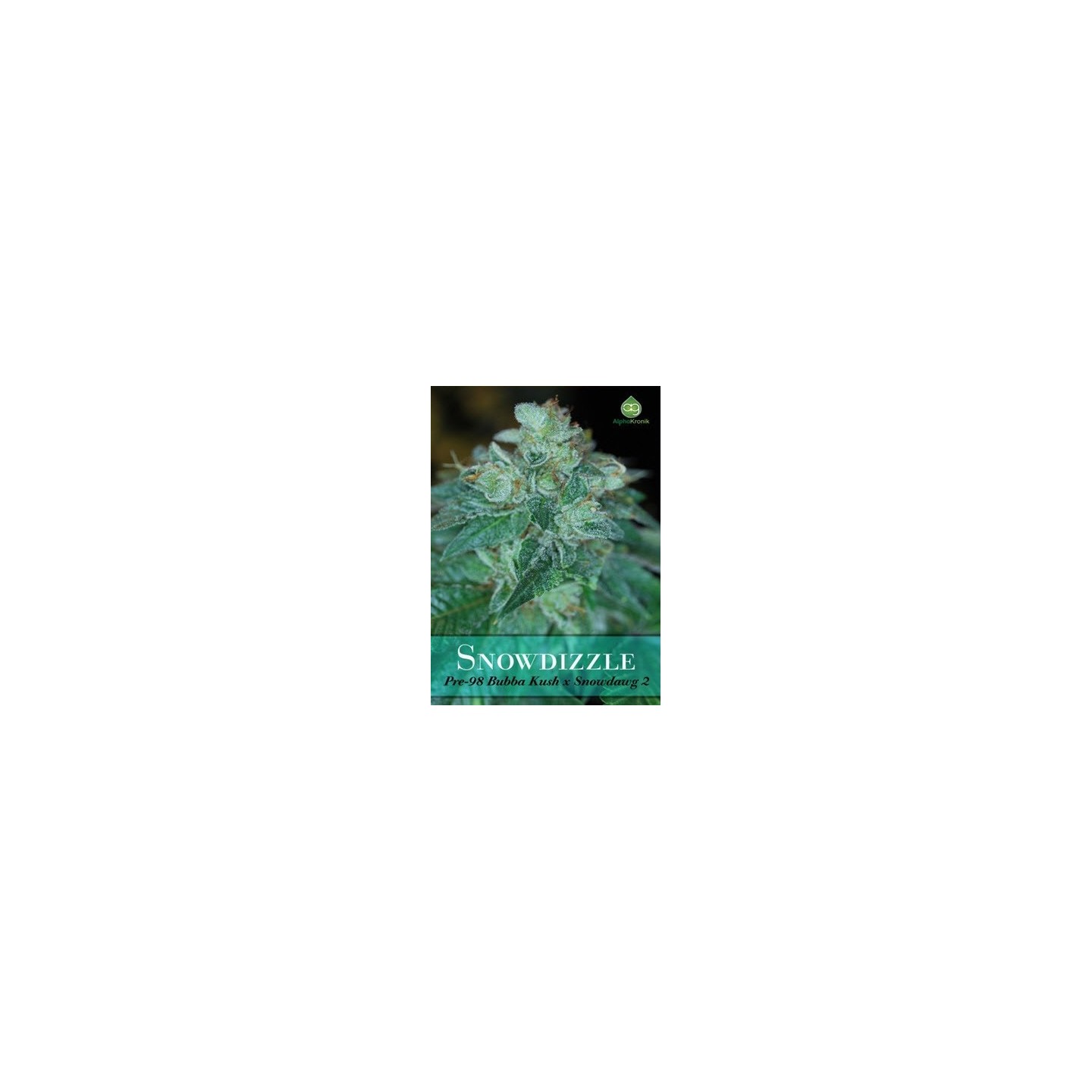 Snowdizzle Regular de 
