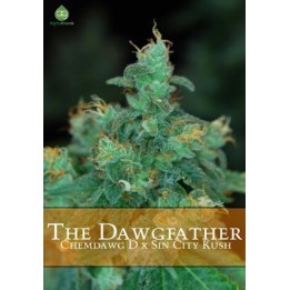 The Dawgfather Regular de 