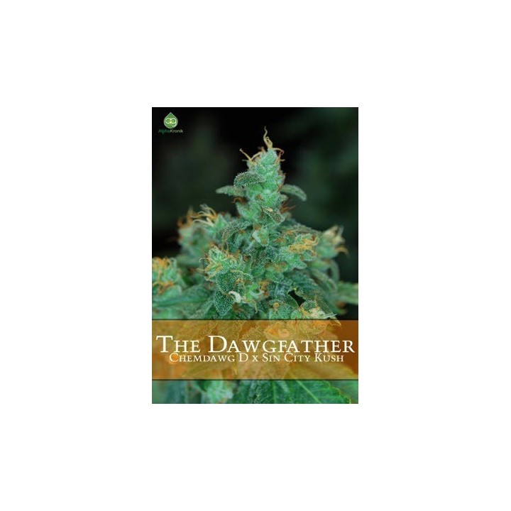 The Dawgfather Regular de 