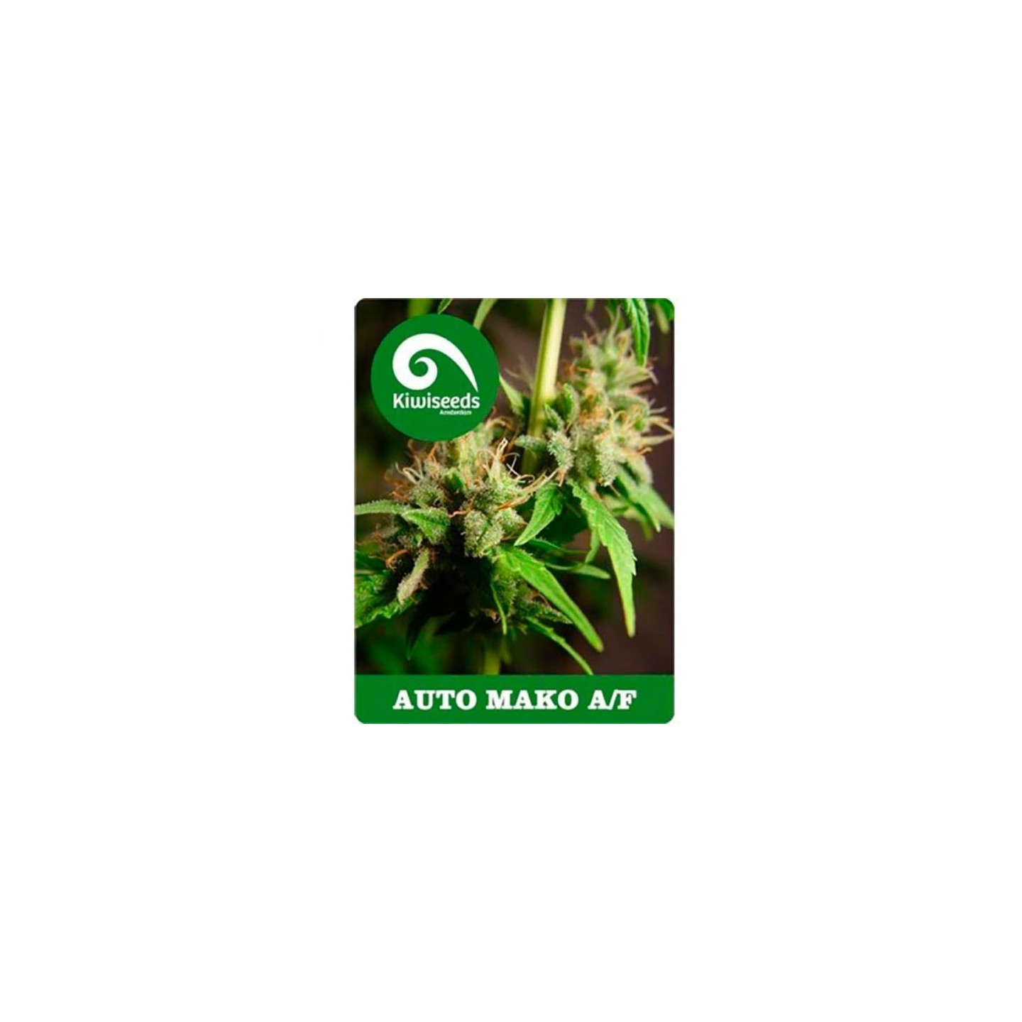 Mako Autofloreciente Feminizada de Kiwi Seeds