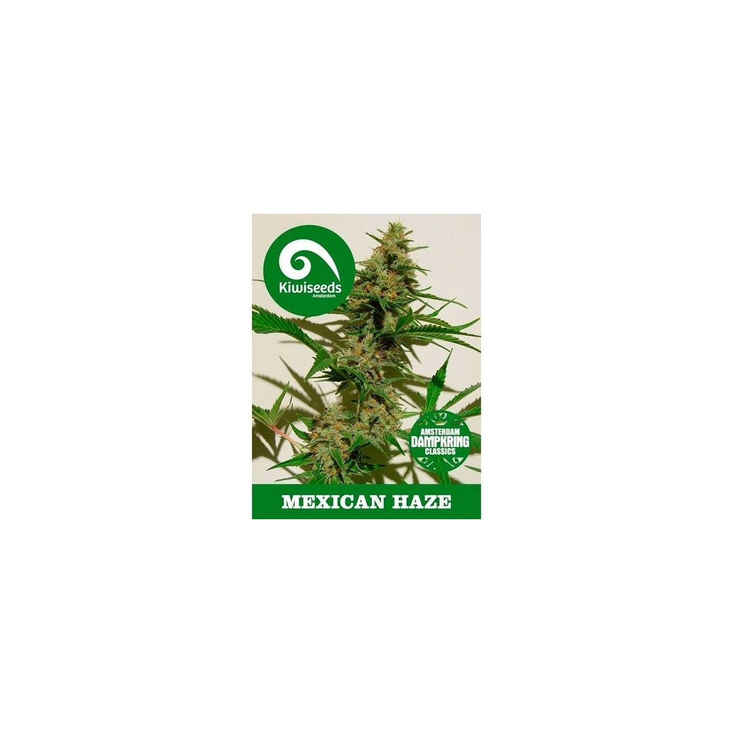 Mexican Haze Feminizada de Kiwi Seeds
