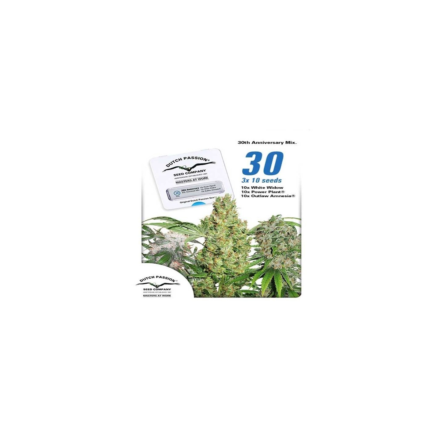 30St Anniversary Mix Feminizada de Dutch Passion