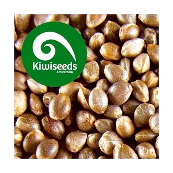 Outdoor Mix Feminizada de Kiwi Seeds