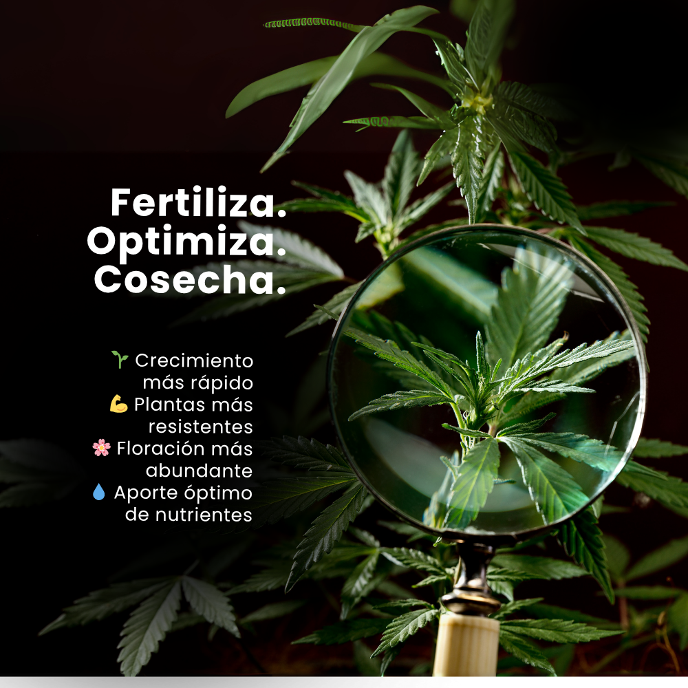 Promoción fertilizantes Agrobeta y Maria Green con 21% de descuento