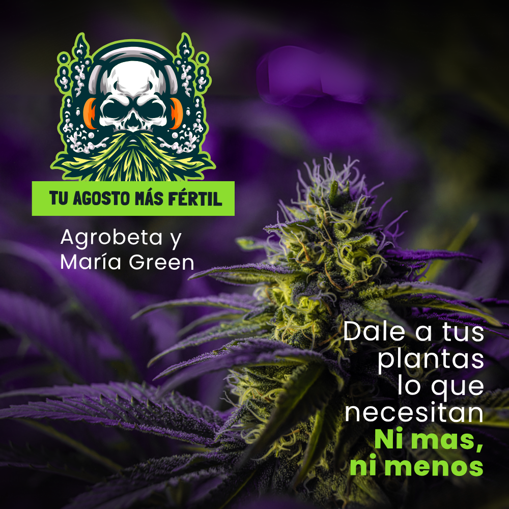 Descuento especial de verano en fertilizantes