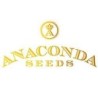 Anaconda Seeds Exclusivo Banco de Semillas de cannabis con increíbles variedades.