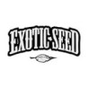Exotic Seed Banco de Semillas combina las cualidades de genéticas españolas y holandesas