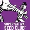 Super Sativa Seed Club es un Banco de Semillas de Amsterdam con magnificas geneticas